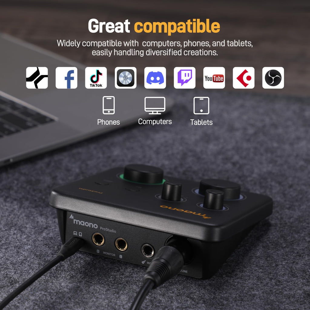 MAONO USB音频接口适用于PC：带XLR输入、24位/192kHz路由软件、LOOPBACK、ASIO驱动，适用于录音、家庭工作室、吉他、播客、直播、DAW（PS22 Lite 黑）